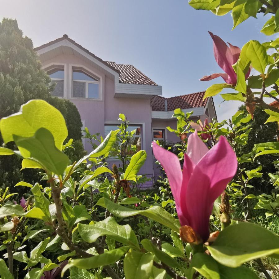 Vila Angela Felix Hotel Sanmartin Bagian luar foto